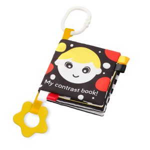 ba338039806d424a2a431cb065981c61